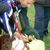 Autographe Sur chien Bear Grylls