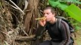 Man vs Wild-A l’ouest du Pacifique