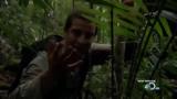 Man vs Wild-Borneo