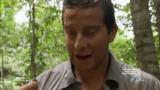 Man vs Wild-Borneo