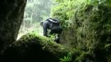 Man vs Wild-Guatemala