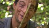 Man vs Wild-Guide de survie