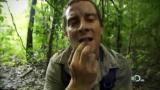 Man vs Wild-Guide de survie