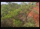 Man vs Wild-L’Australie (Kimberley)