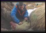 Man vs Wild-L’Islande