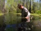 Man vs Wild-La Louisiane (Sud profond)