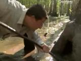 Man vs Wild-La Louisiane (Sud profond)