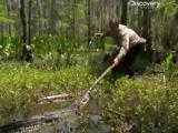 Man vs Wild-La Louisiane (Sud profond)