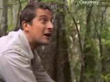 Man vs Wild-La Louisiane (Sud profond)