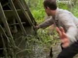 Man vs Wild-La Louisiane (Sud profond)