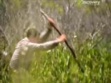 Man vs Wild-La Louisiane (Sud profond)