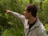 Man vs Wild-La Louisiane (Sud profond)