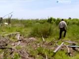 Man vs Wild-La Louisiane (Sud profond)