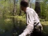 Man vs Wild-La Louisiane (Sud profond)