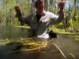 Man vs Wild-La Louisiane (Sud profond)