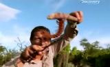 Man vs Wild-La République Dominicaine