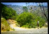 Man vs Wild-La Sierra Nevada