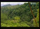 Man vs Wild-Le Costa Rica Forêt tropicale