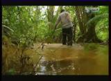 Man vs Wild-Le Costa Rica Forêt tropicale