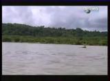 Man vs Wild-Le Costa Rica Forêt tropicale