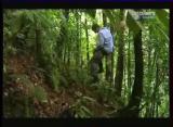 Man vs Wild-Le Costa Rica Forêt tropicale