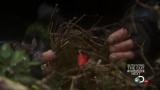 Man vs Wild-Le feu et la glace d’Islande