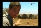 Man vs Wild-Le Kenya (savane africaine)