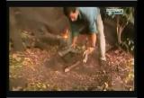 Man vs Wild-Le Kenya (savane africaine)