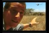 Man vs Wild-Le Kenya (savane africaine)
