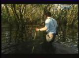 Man vs Wild-Les Everglades