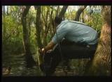 Man vs Wild-Les Everglades