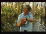 Man vs Wild-Les Everglades