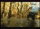 Man vs Wild-Les Everglades