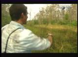 Man vs Wild-Les Everglades