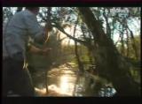 Man vs Wild-Les Everglades