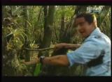 Man vs Wild-Les Everglades