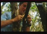 Man vs Wild-Les Everglades