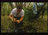 Man vs Wild-Les Everglades