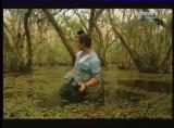 Man vs Wild-Les Everglades