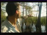Man vs Wild-Les Everglades