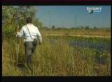 Man vs Wild-Les Everglades