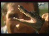 Man vs Wild-Les Everglades