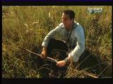 Man vs Wild-Les Everglades