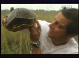 Man vs Wild-Les Everglades