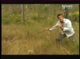 Man vs Wild-Les Everglades