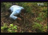 Man vs Wild-Les Everglades