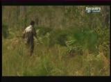 Man vs Wild-Les Everglades