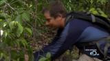 Man vs Wild-Malaysie