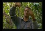 Man vs Wild-Panama (Part 1)