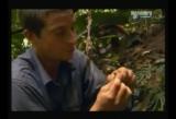 Man vs Wild-Panama (Part 1)